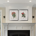Scarlet Botanical I 2 Piece Set Silver Frame