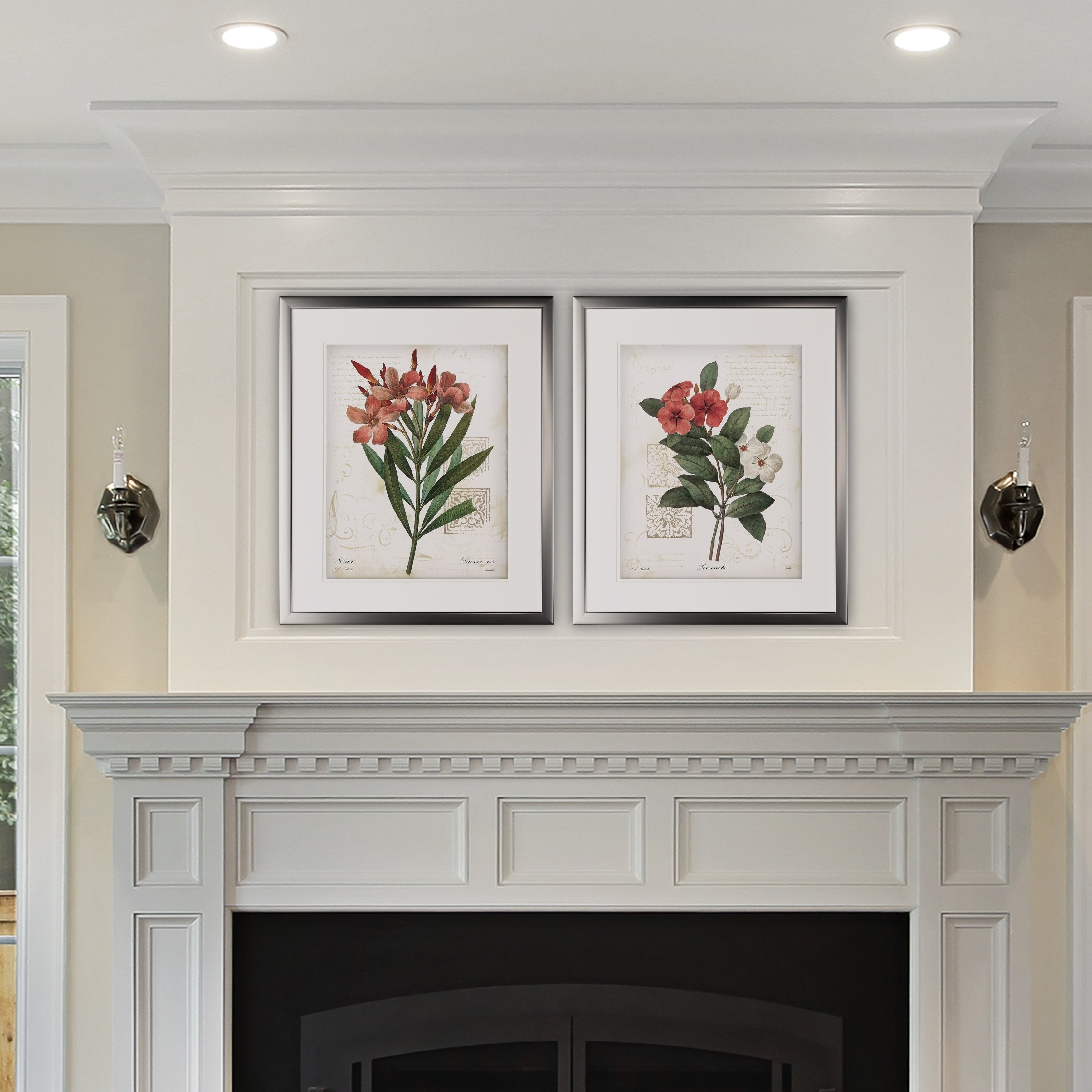 Scarlet Botanical I 2 Piece Set Silver Frame