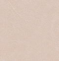 Blush Leather Swatch