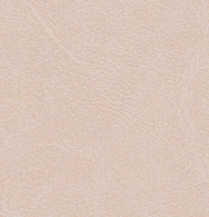 Blush Leather Swatch