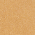 Saddle Leather Swatch