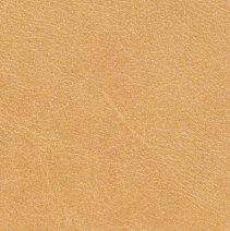 Saddle Leather Swatch