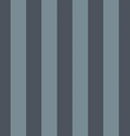 Blue Tonal Stripe Fabric Swatch