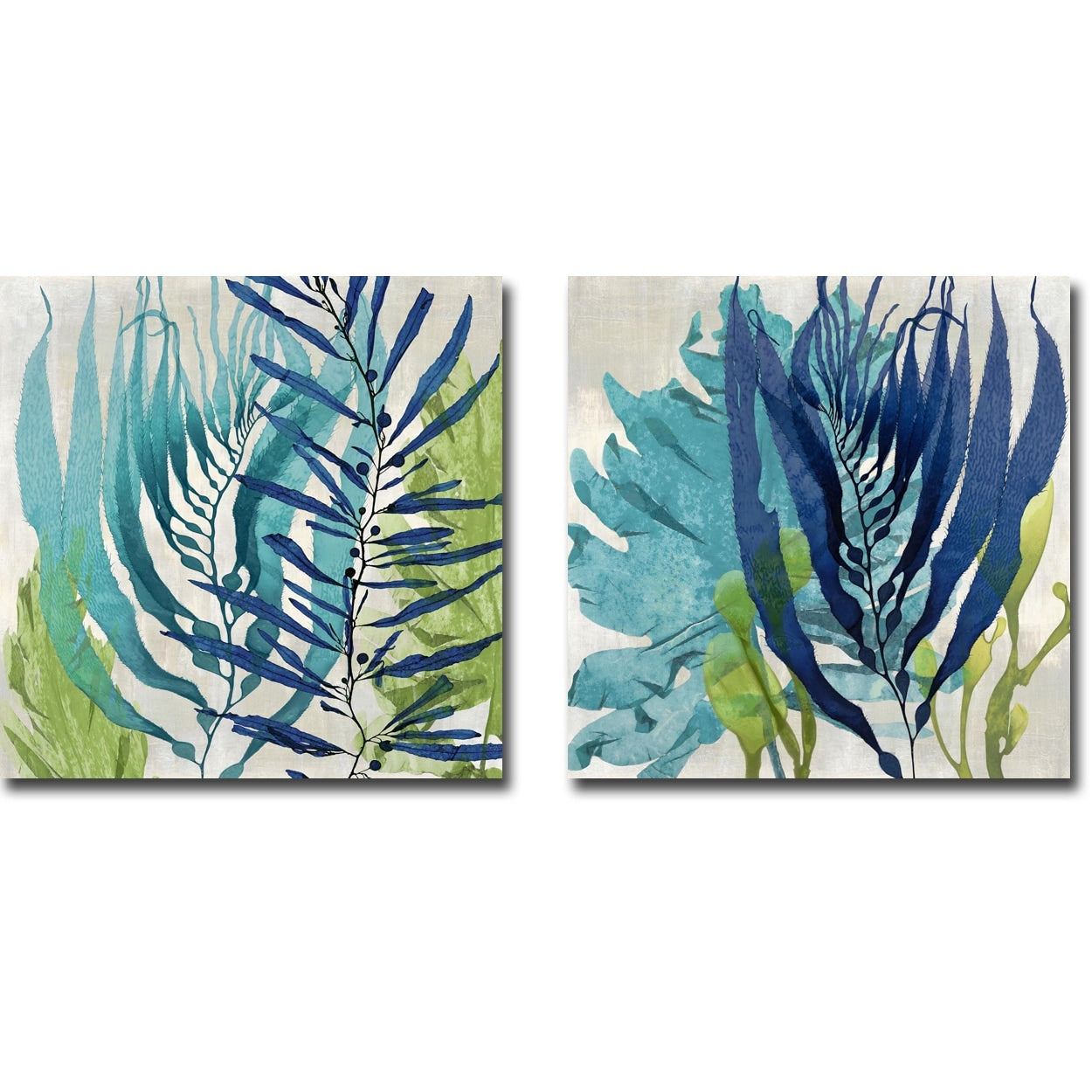 Sea Nature I Ii By Melonie Miller 2 Pc Gallery Wrapped Canvas Giclee Set 24 In X 24 In Each Canvas In Set