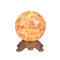 Sea Shell 1 Light Dark Bronze Table Lamp
