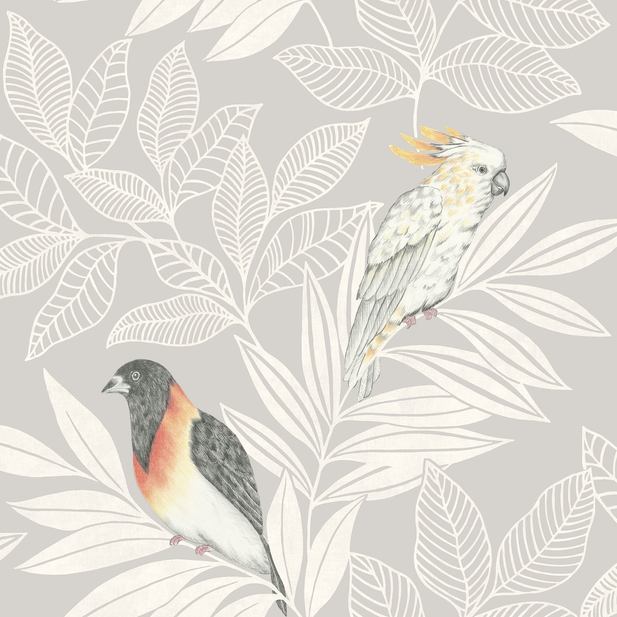 Seabrook Designs Paradise Island Birds Unpasted Wallpaper
