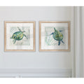 Wexford Home Seaglass Turtle Framed Wall Art Set Of 2