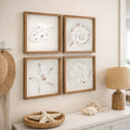 Seashell And Starfish Framed 3D Coastal Beach Wall Art Set Of 4 For Bathroom Bedroom Beach House Decor 9X9