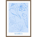 Seashells By Treechild Framed Canvas Wall Art