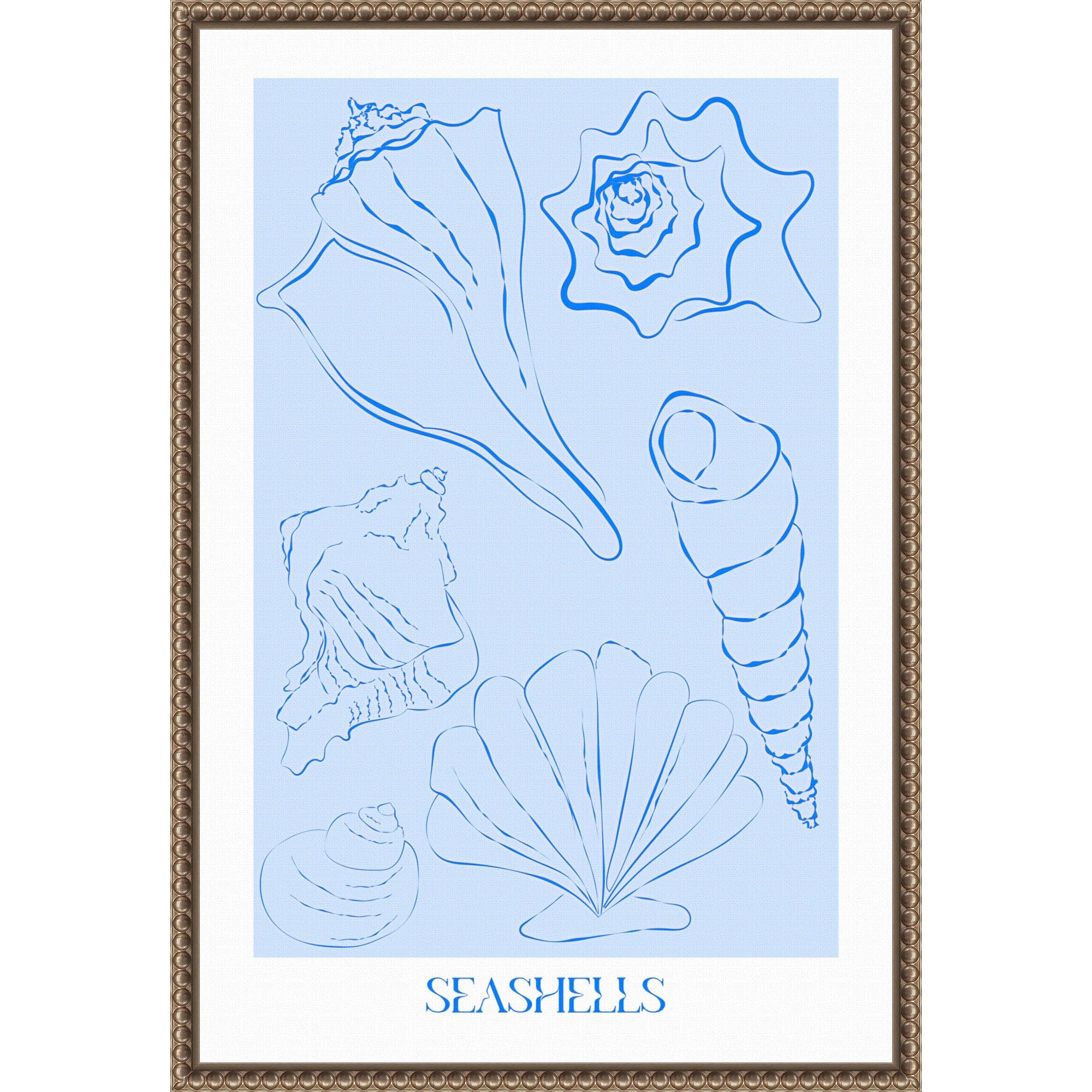 Seashells By Treechild Framed Canvas Wall Art