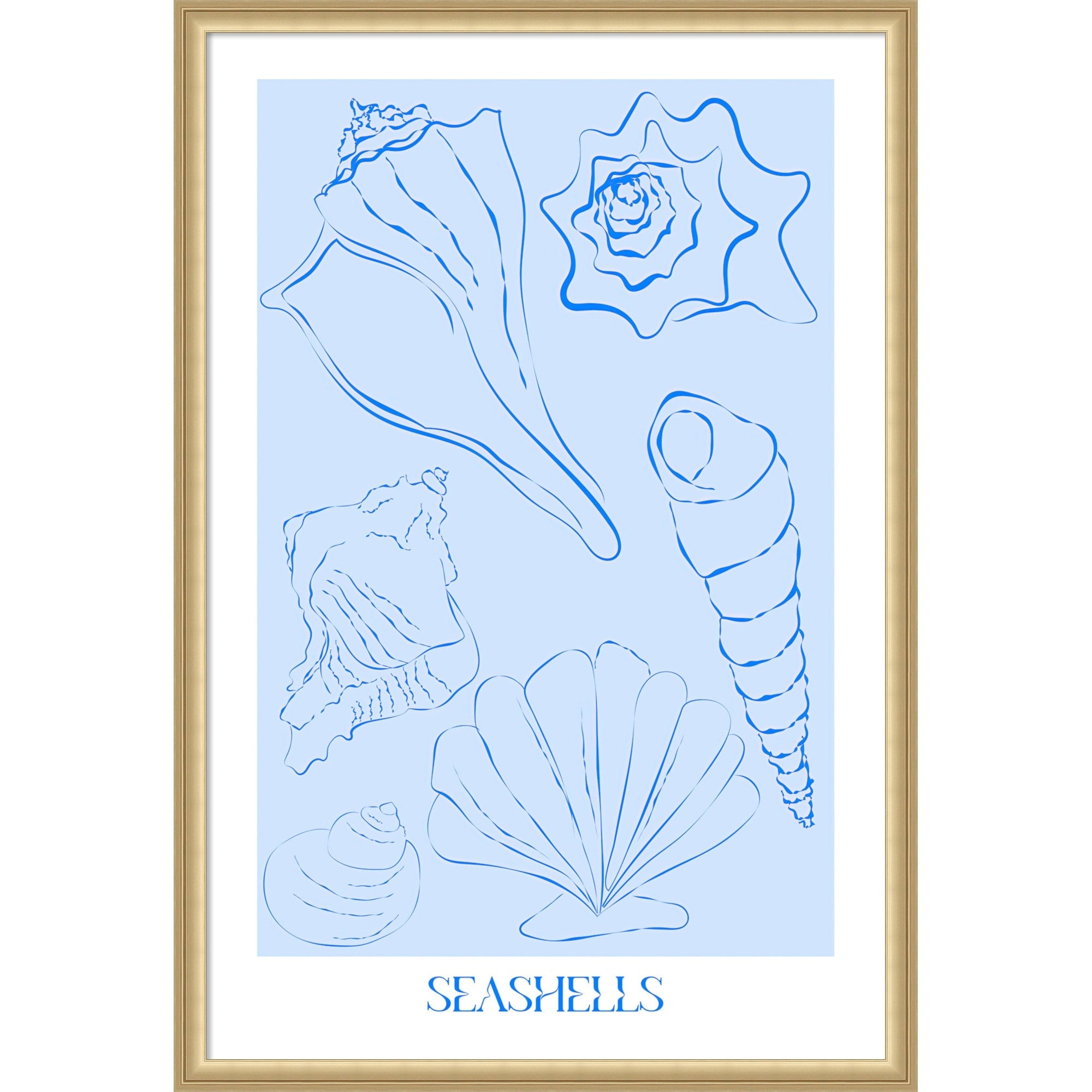 Seashells By Treechild Framed Mounted Canvas Wall Art Print