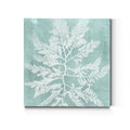Seaweed On Aqua I Premium Gallery Wrapped Canvas