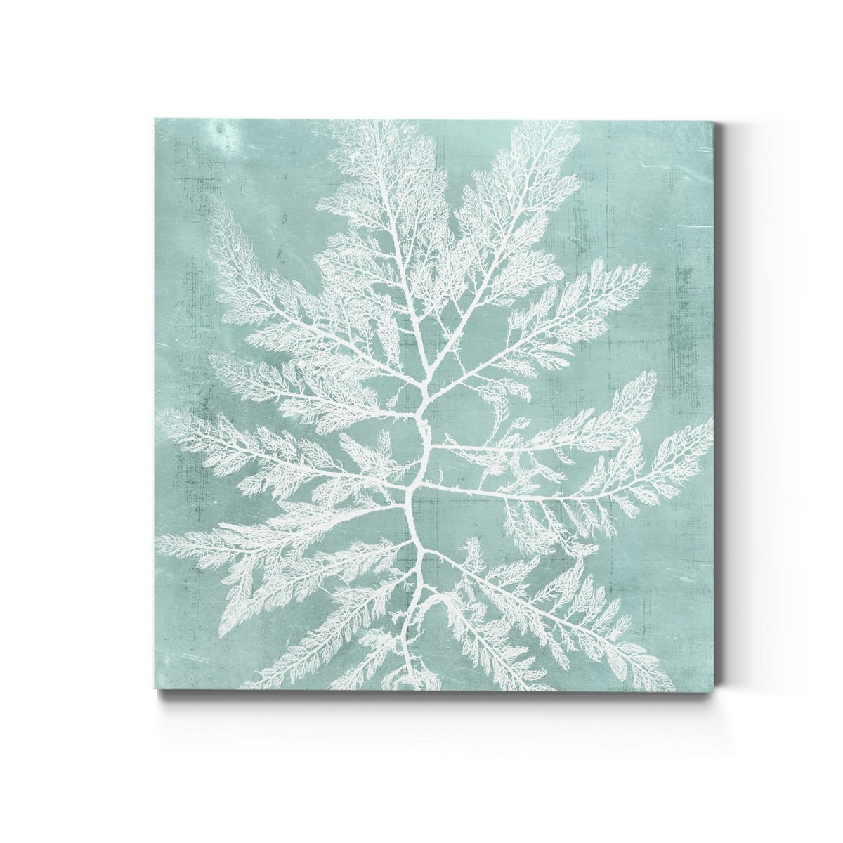 Seaweed On Aqua I Premium Gallery Wrapped Canvas