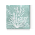 Seaweed On Aqua Ix Premium Gallery Wrapped Canvas