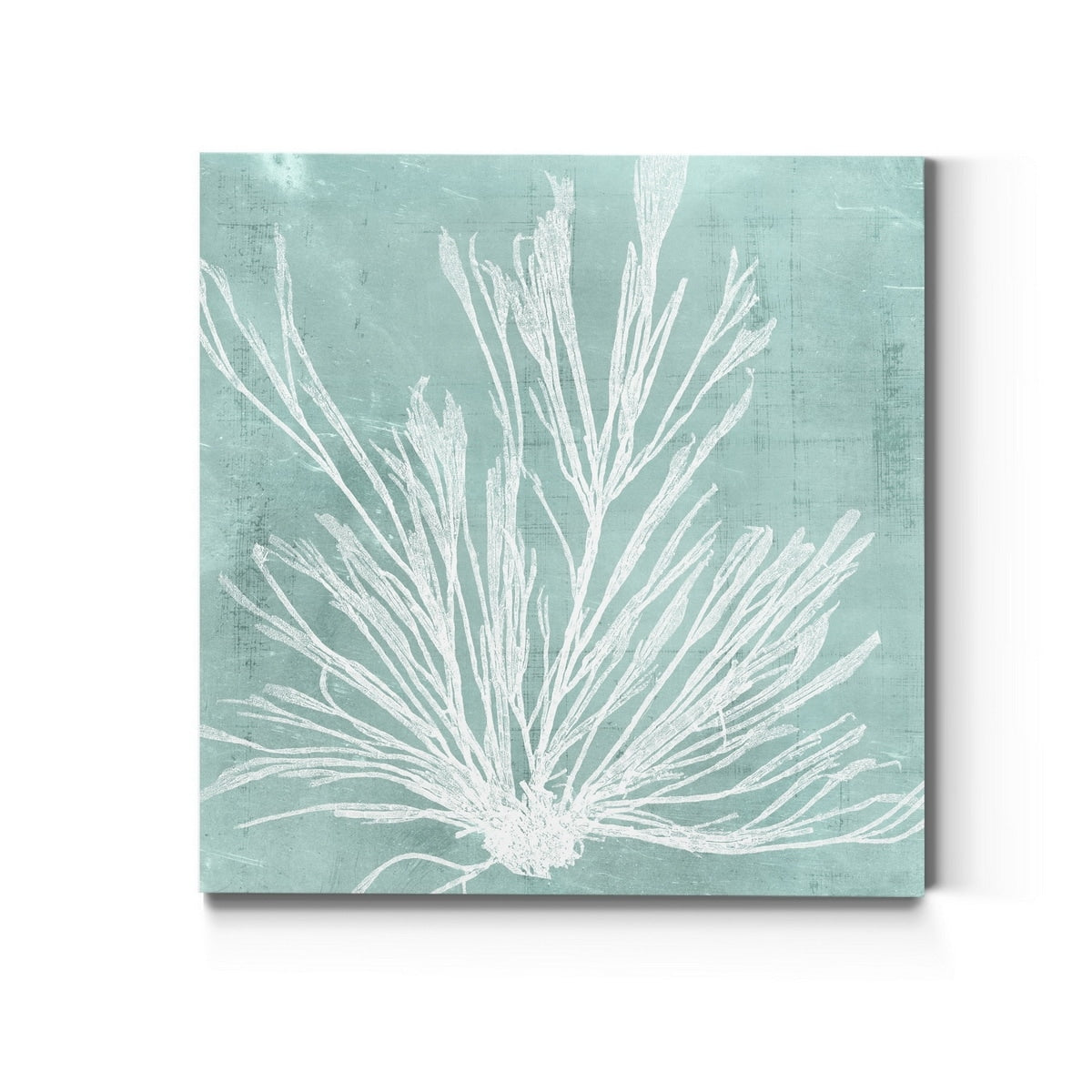 Seaweed On Aqua Ix Premium Gallery Wrapped Canvas