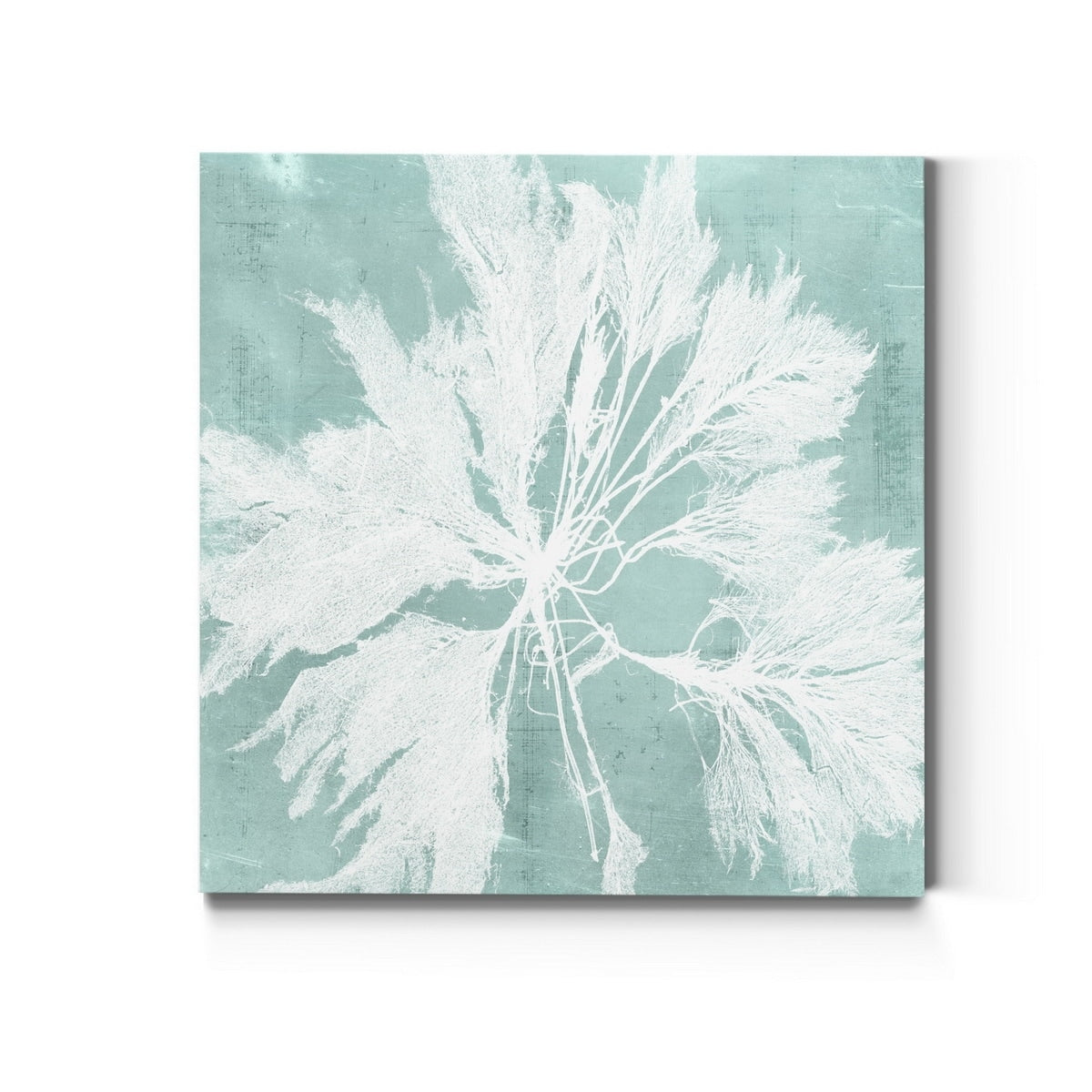 Seaweed On Aqua Vi Premium Gallery Wrapped Canvas