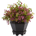 Nearly Natural Sedum And Eucalyptus Plant With Planter
