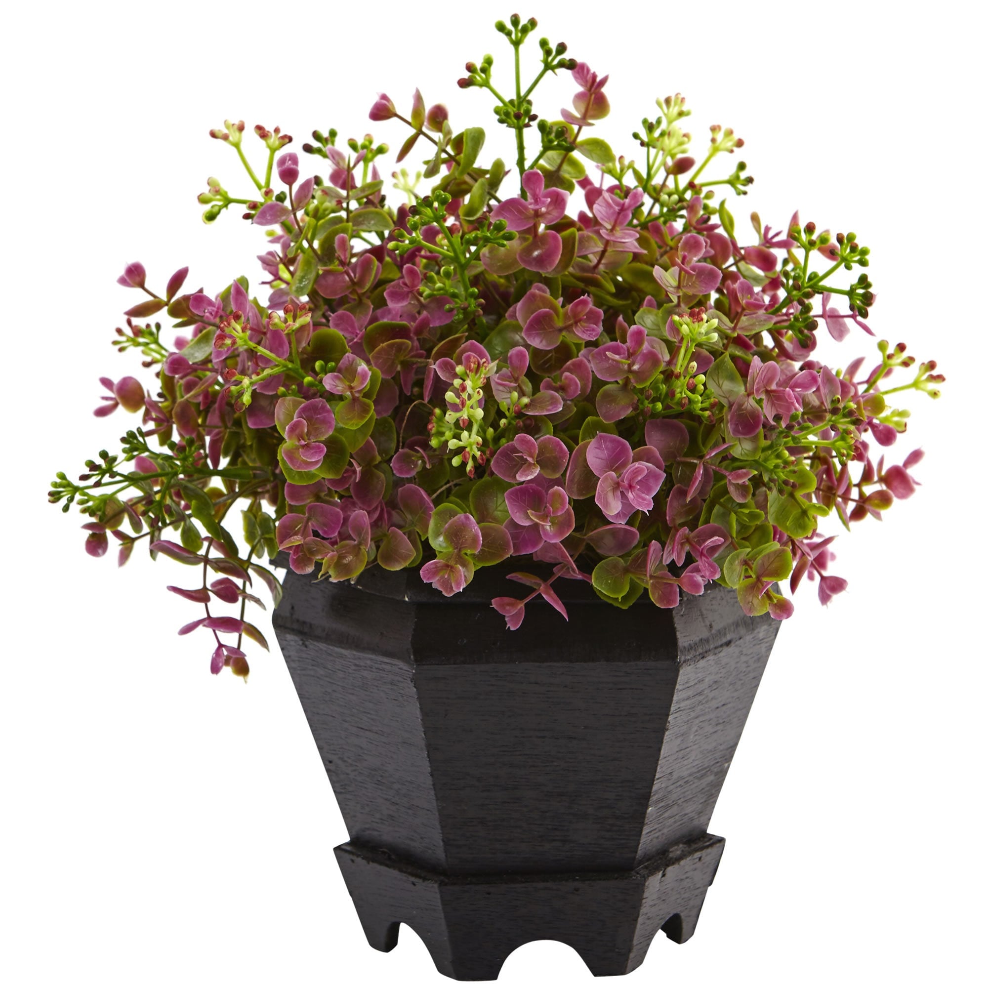 Nearly Natural Sedum And Eucalyptus Plant With Planter