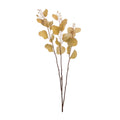 Seeded Eucalyptus Stem Set Of 2