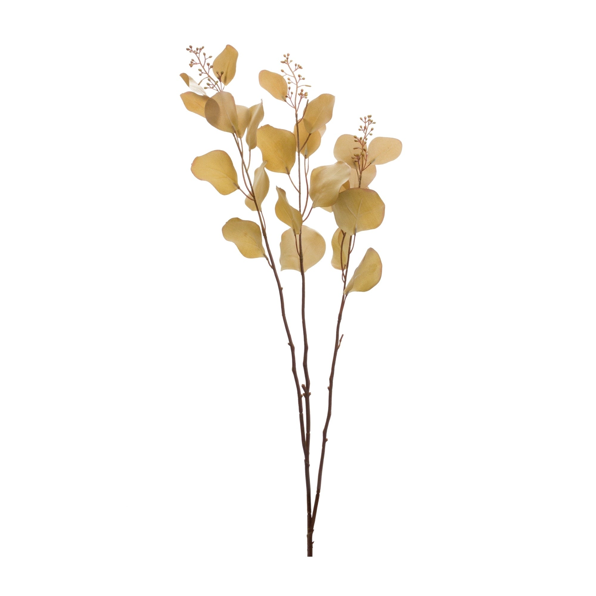 Seeded Eucalyptus Stem Set Of 2
