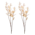 Seeded Eucalyptus Stem Set Of 2