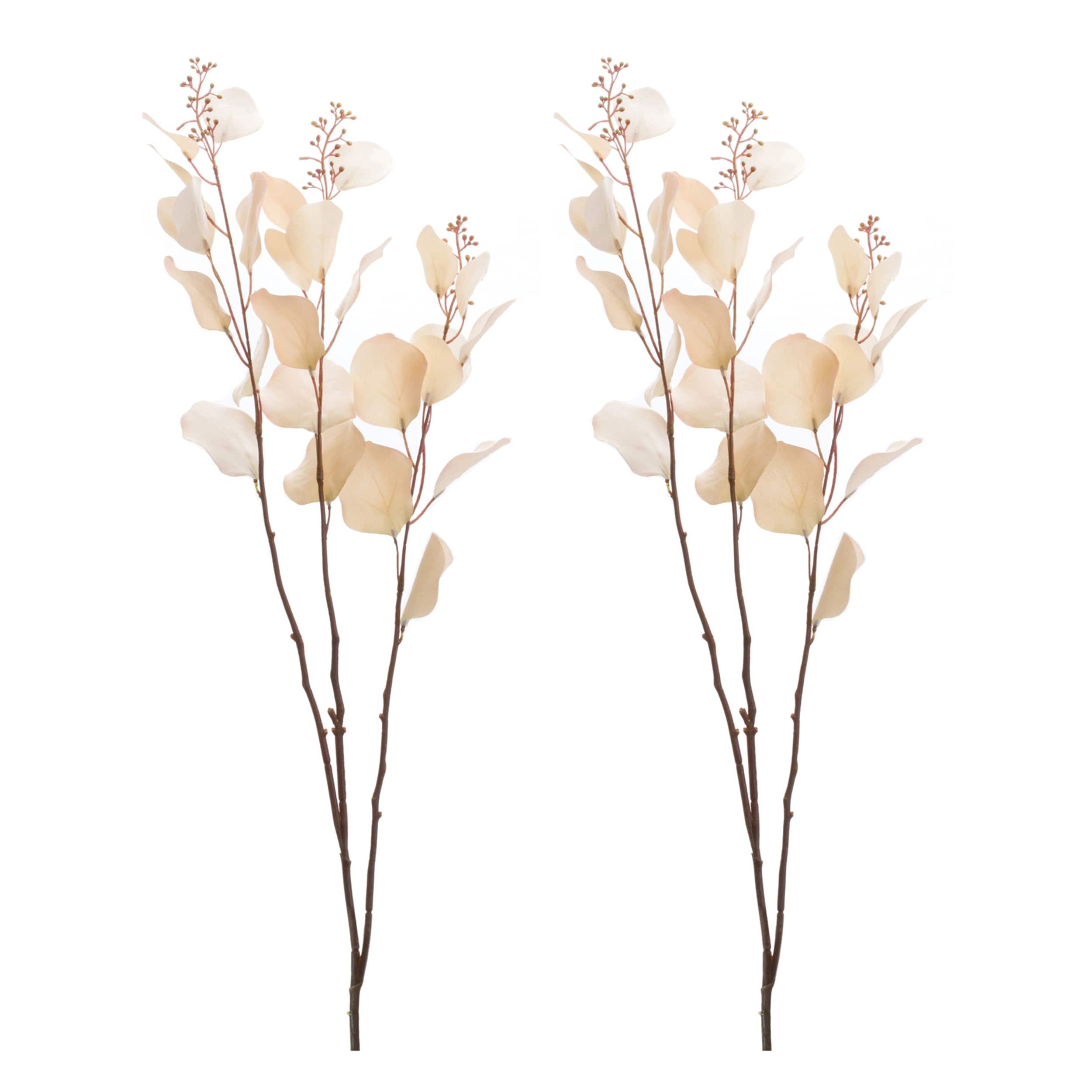 Seeded Eucalyptus Stem Set Of 2