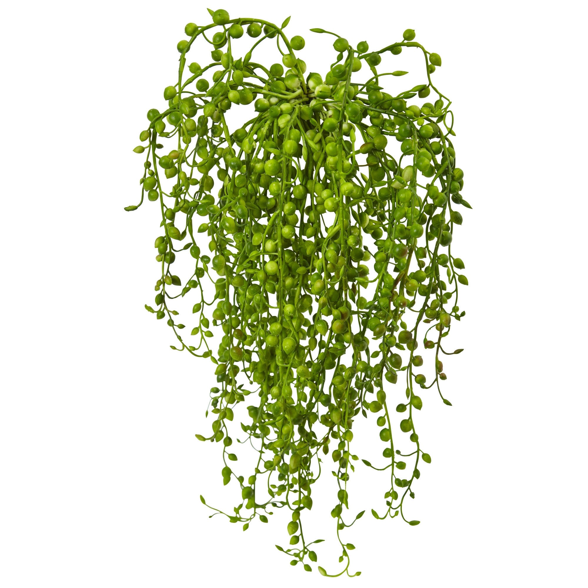 Senecio Artificial Succulent Set Of 3