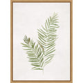 Serene Ferns On White Canvas By Hannah Dawson Framed Canvas Wall Art