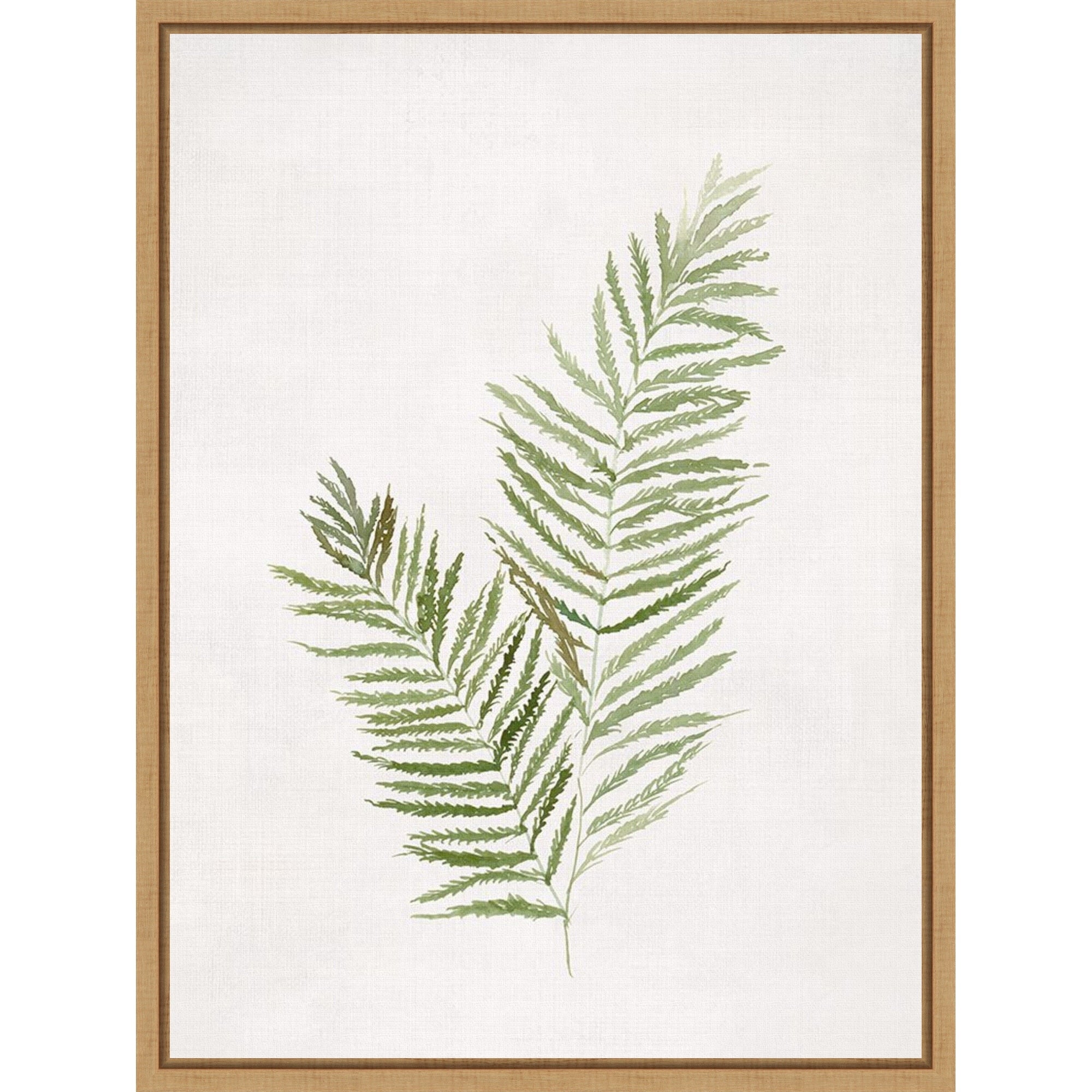 Serene Ferns On White Canvas By Hannah Dawson Framed Canvas Wall Art
