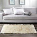 Serenta Shaggy Silky Smooth Faux Fur Area Rug Carpet Floor Mat 3 X 5