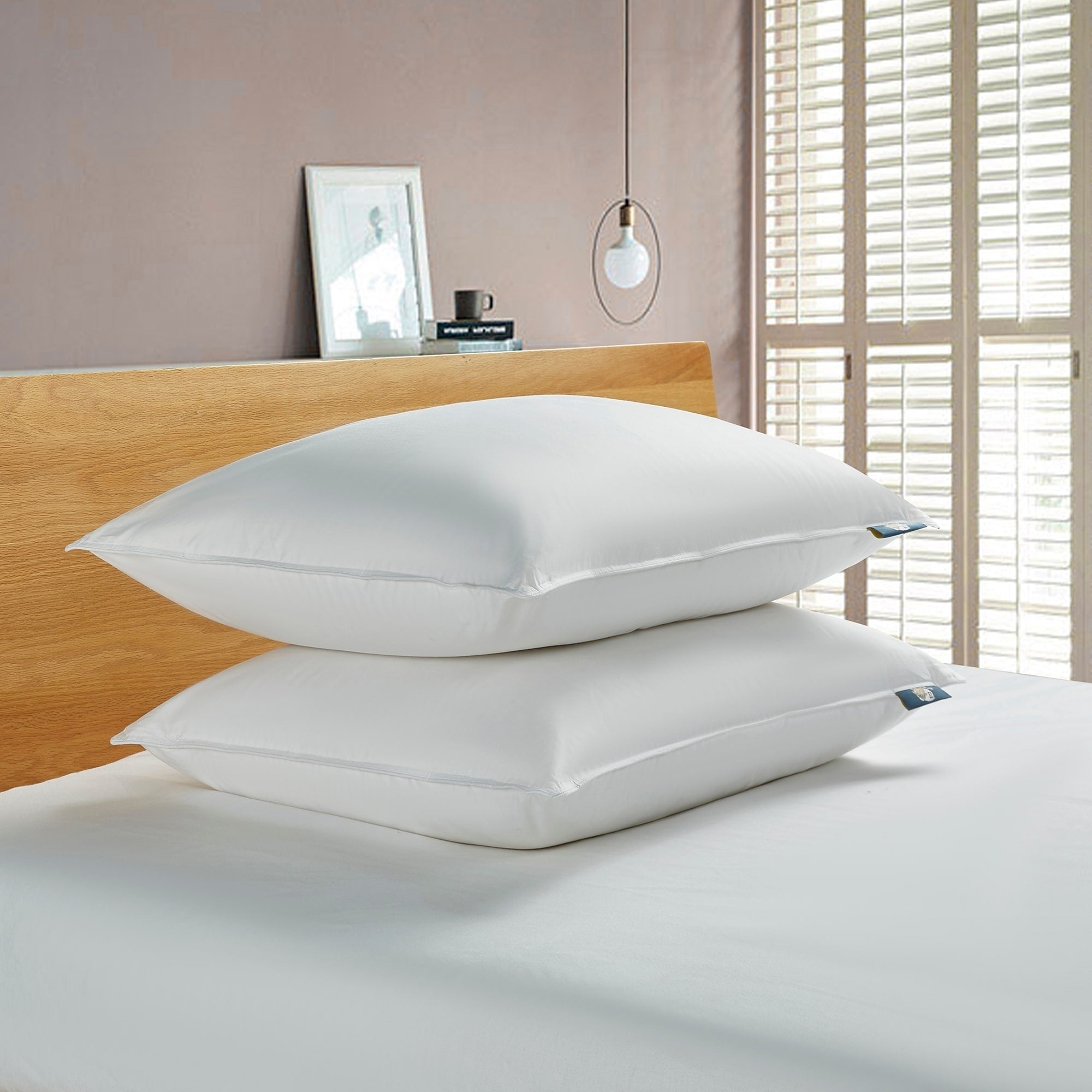 Serta 233 Thread Count White Goose Feather And White Goose Down Fiber Pillow Set Of 2