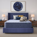 Serta Five Star Mattress Sleep To Go 14 Firm Mattress In A Box
