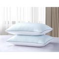 Serta Summer Winter White Goose Feather Pillow Set Of 2