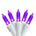 Set Of 100 Purple Led Mini Christmas Lights 4 Spacing White Wire