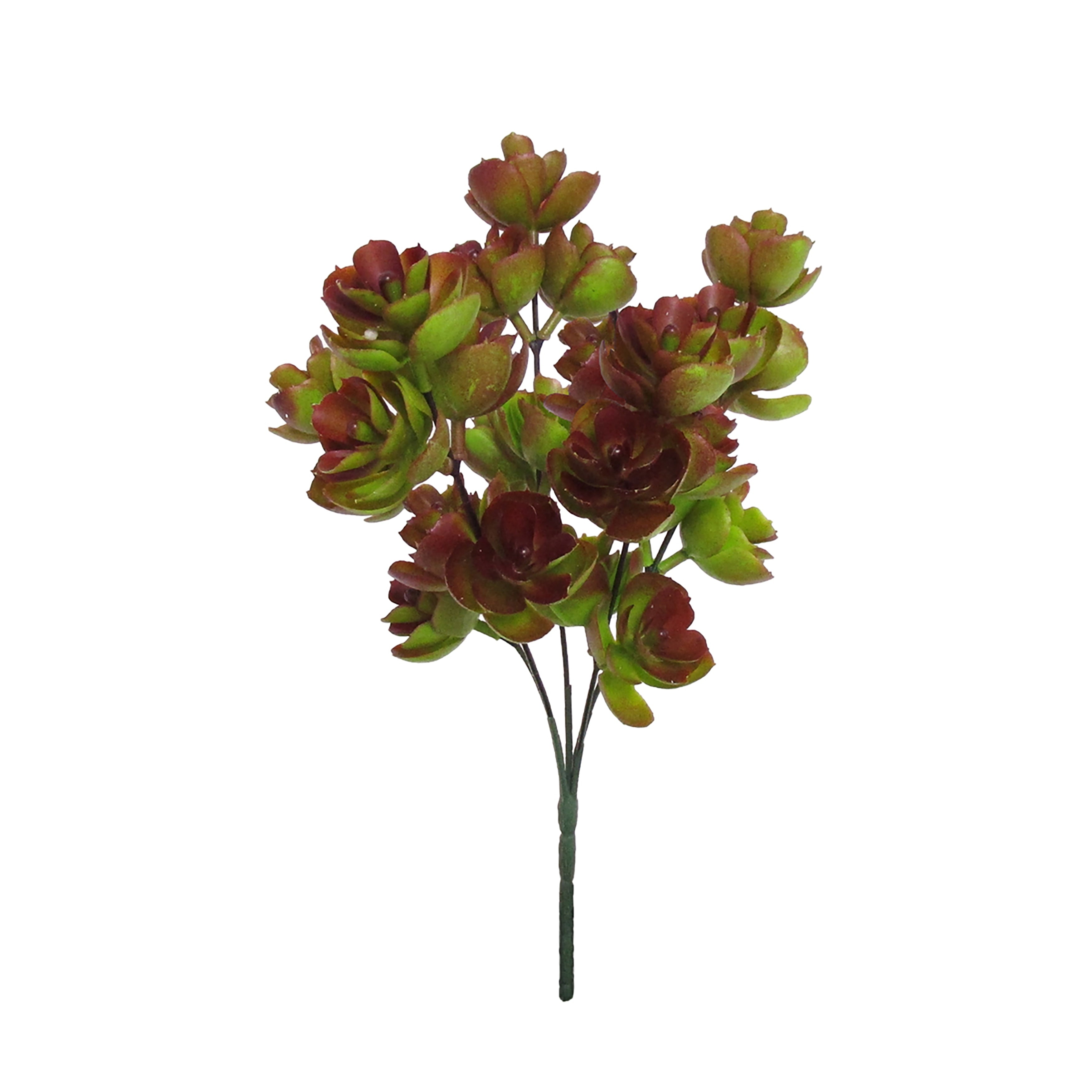 Set Of 2 Echeveria Lotus Succulent Spray Bush 12In