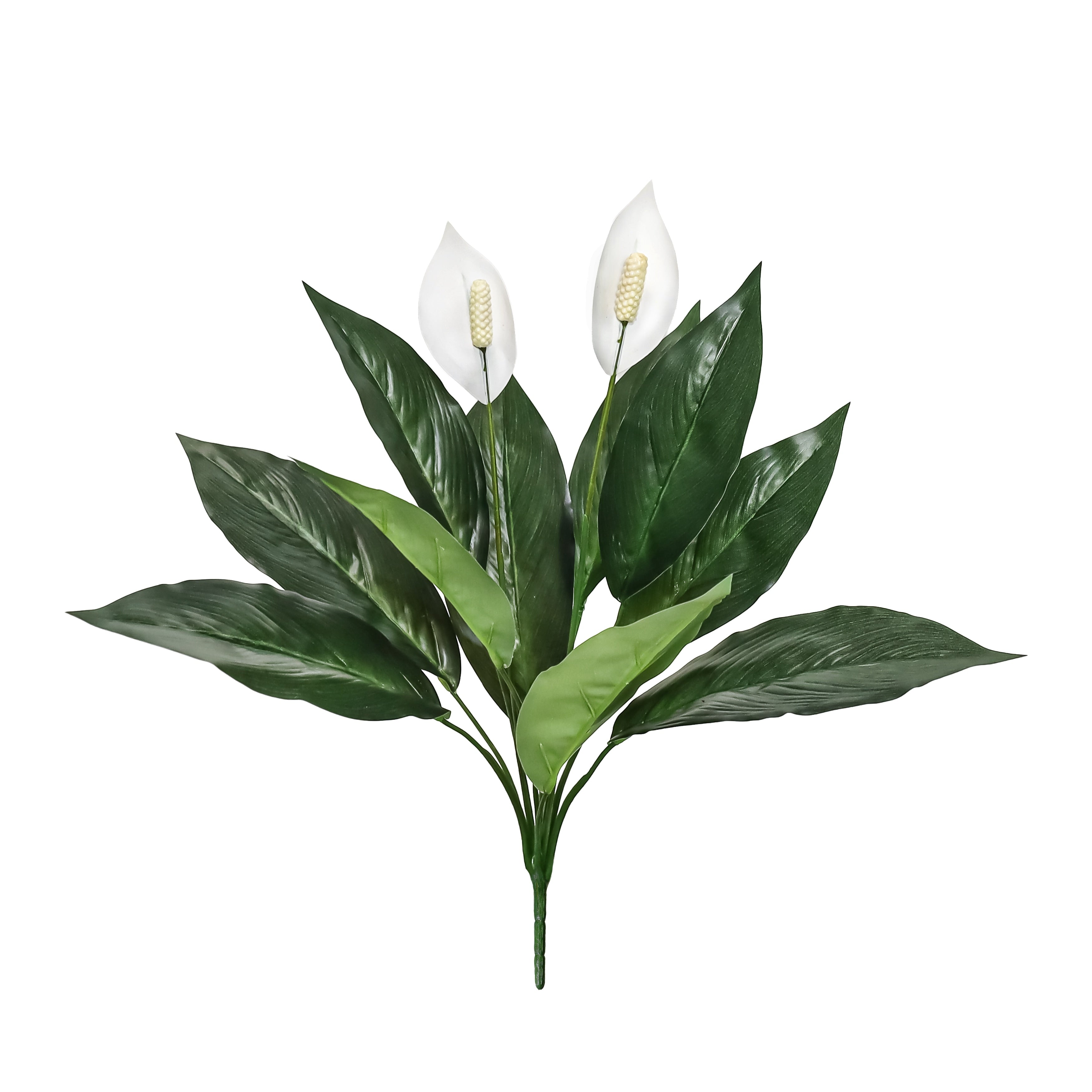 Set Of 2 Real Touch White Artificial Peace Lily Spathiphyllum Leaf Stem Plant Greenery Foliage Bush 18.5In