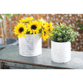 Porcelain Coastal Planter Set Of 3