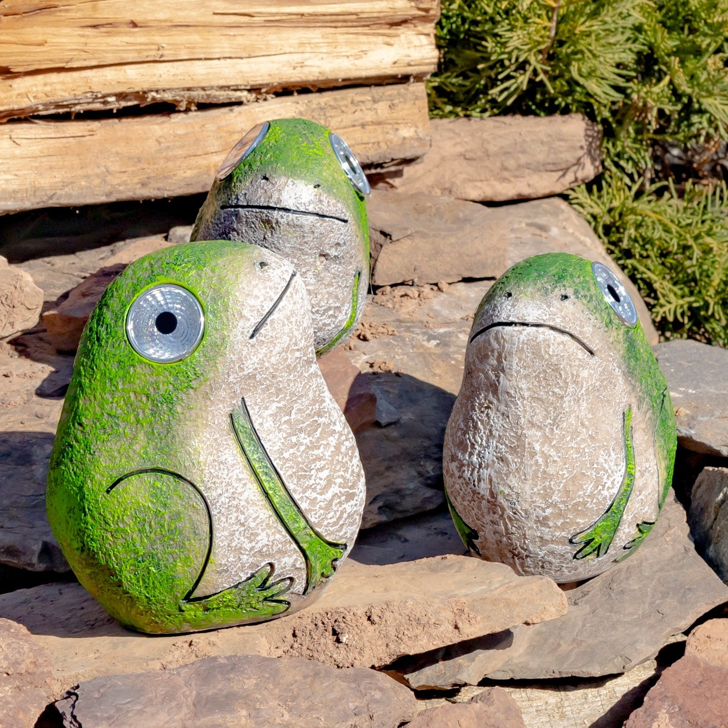 Set Of 3 Solar Frogs With Light Up Eyes