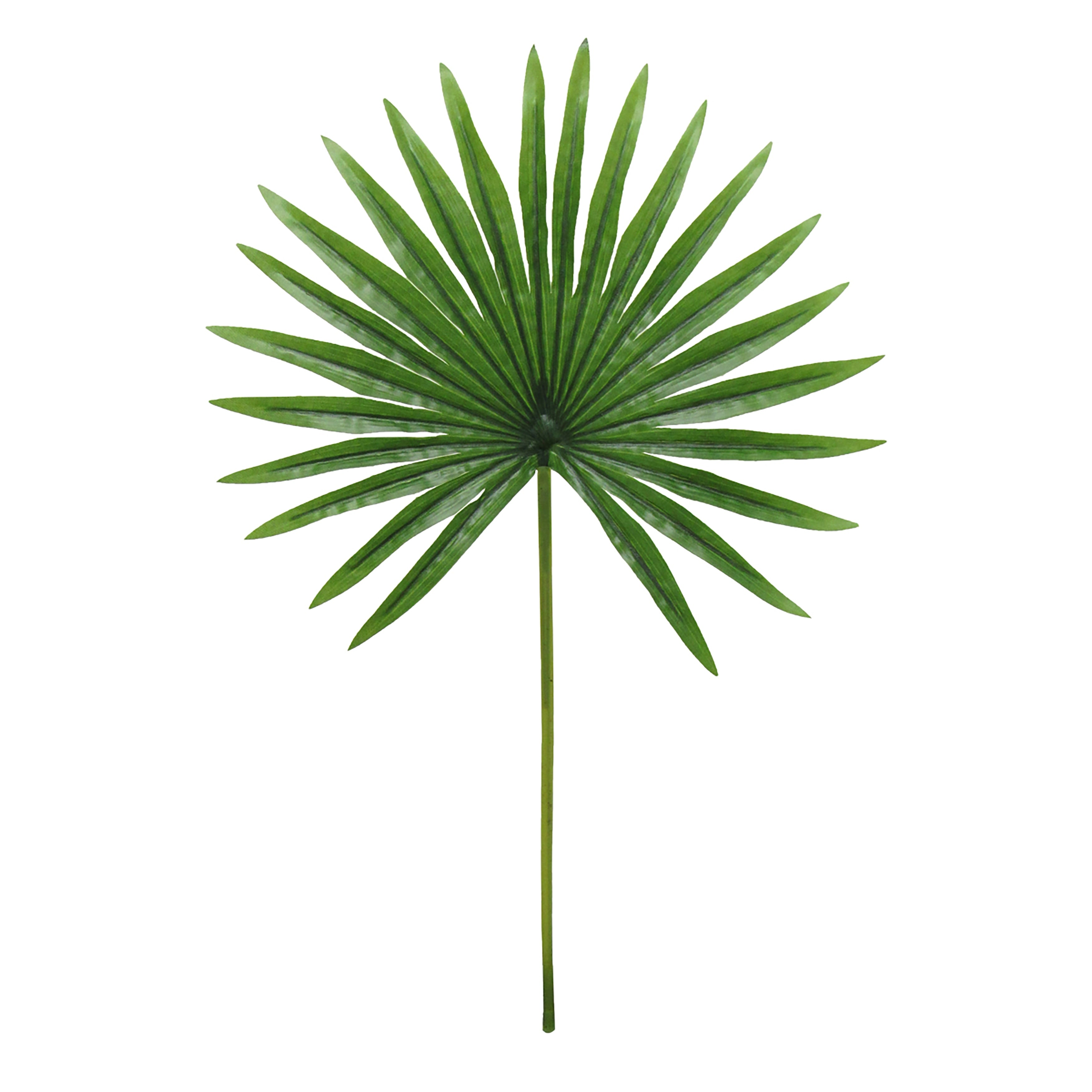 Set Of 3 Tropical Fan Palm Leaf Stem 20In 20 L X 12 W X 0.5 Dp