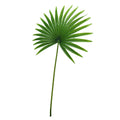 Set Of 3 Tropical Fan Palm Leaf Stem 32In 32 L X 16 W X 0.5 Dp