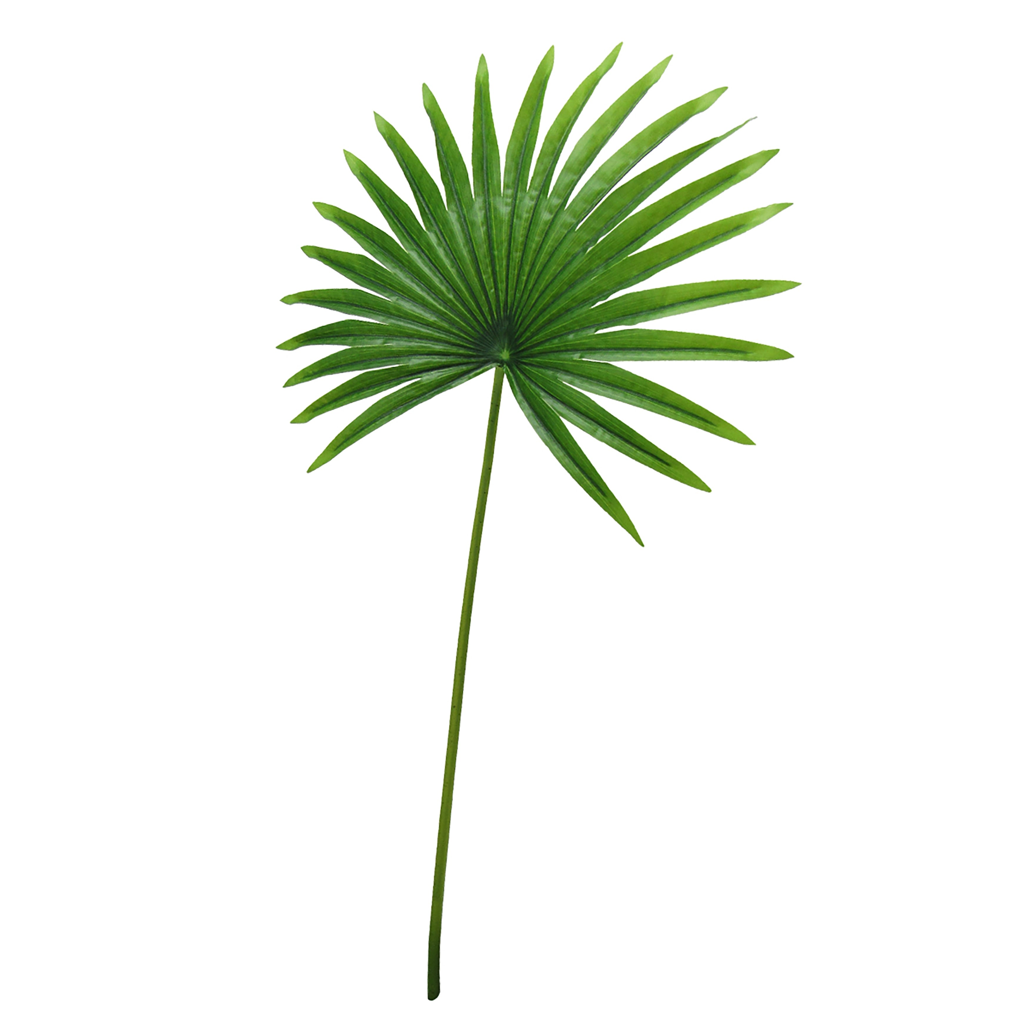 Set Of 3 Tropical Fan Palm Leaf Stem 32In 32 L X 16 W X 0.5 Dp