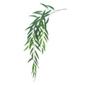 Set Of 6 Weeping Willow Eucalyptus Leaf Stem Hanging Greenery Spray 46In 46 L X 11 W X 1 Dp
