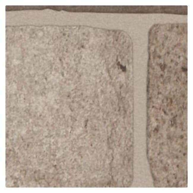 Shaw 390Ts Bowery 3 X 10 Floor And Wall Tile Sold By Carton
