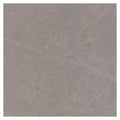 Shaw 441Ts Fervor 22 X 22 Floor And Wall Tile Sold By Carton