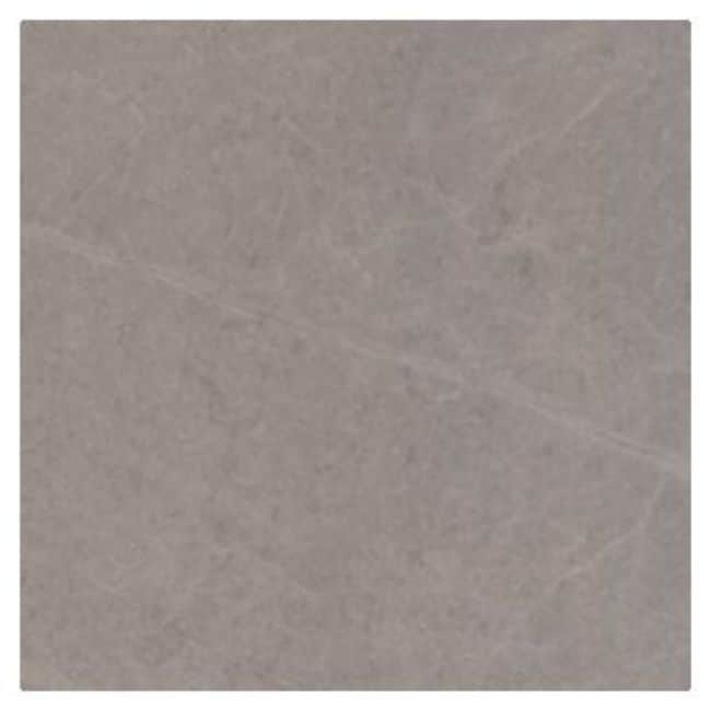 Shaw 441Ts Fervor 22 X 22 Floor And Wall Tile Sold By Carton