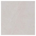 Shaw 442Ts Fervor 12 X 24 Floor And Wall Tile Sold By Carton