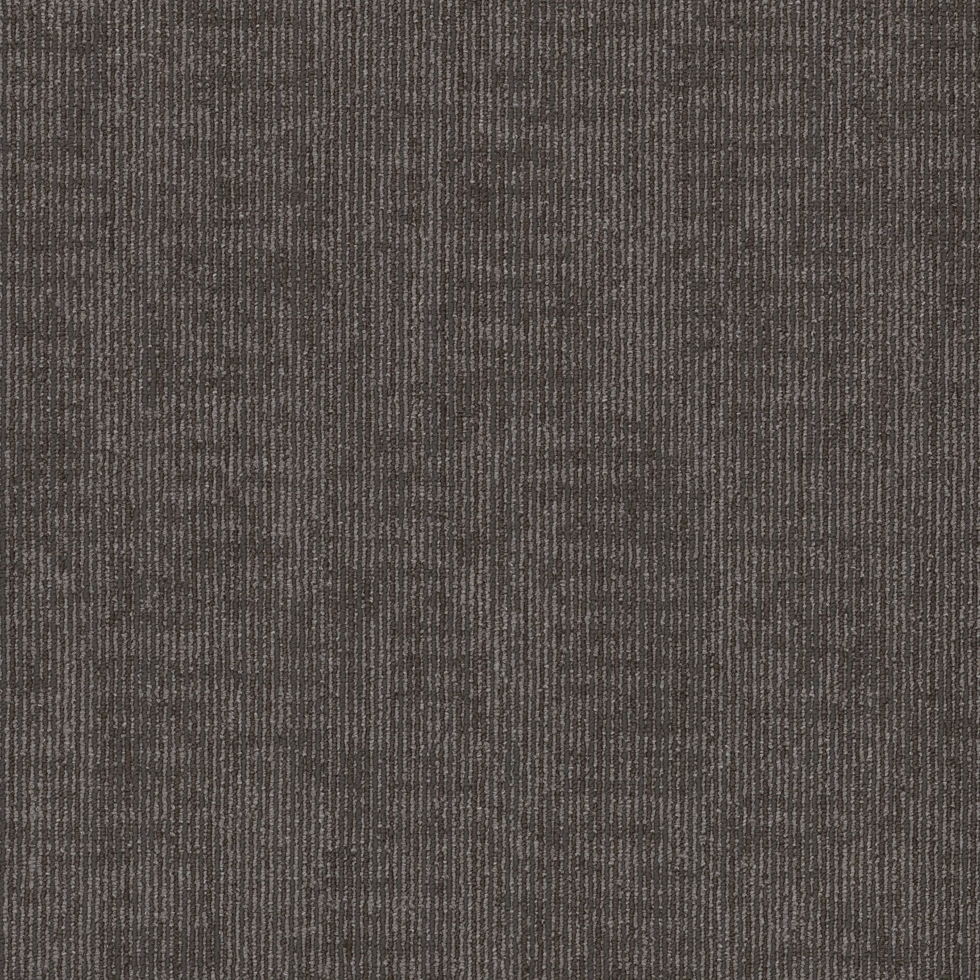 Shaw Authentic 24 X 24 Glue Down Commercial Carpet Tile Sold By