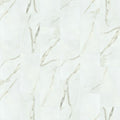 Shaw Casino 12 X 24 Rectangle Floor Tile Matte Marble Visual