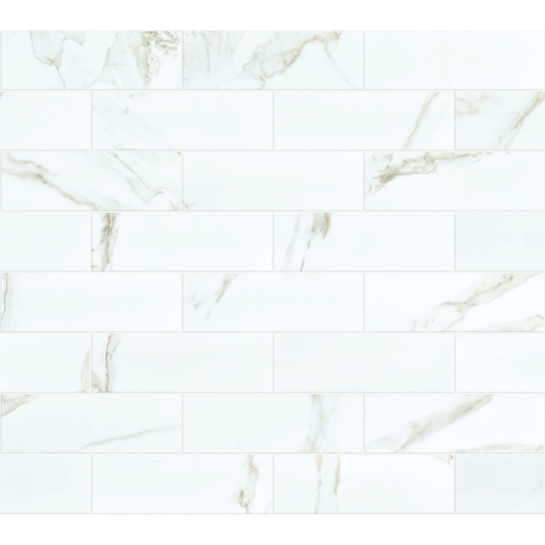 Shaw Cs35V Casino 4 X 12 Rectangle Floor Tile Polished Visual