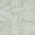 Shaw Casino Plsh 24 Square Floor Tile Polished Visual Sold By